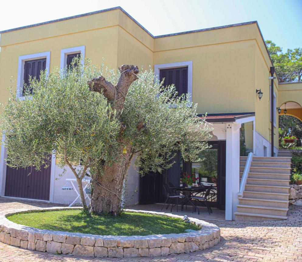 סלבה די פאסנו Villa Arisa With Pool מראה חיצוני תמונה