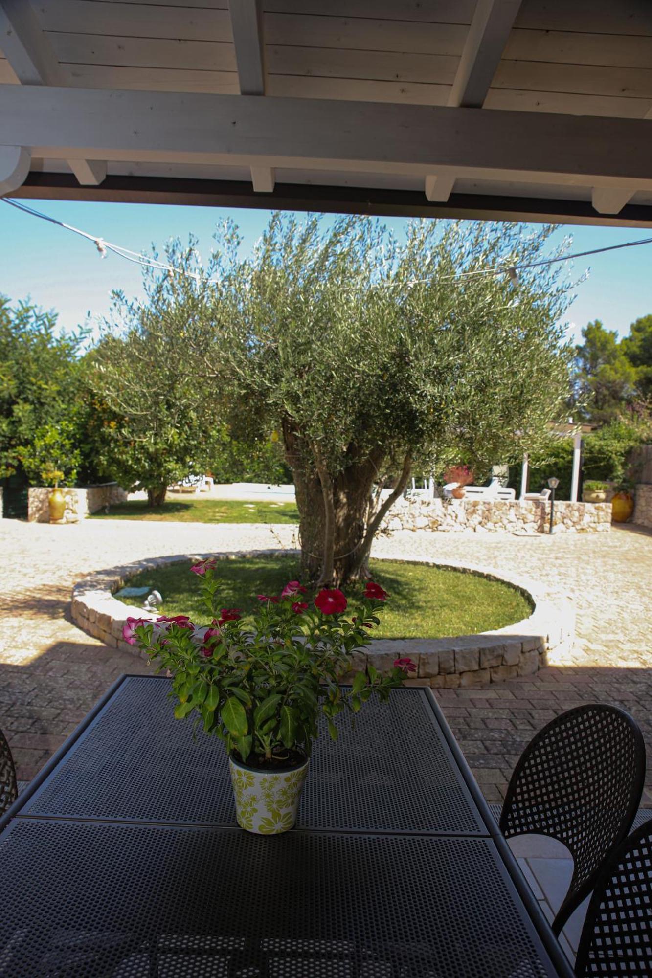 סלבה די פאסנו Villa Arisa With Pool מראה חיצוני תמונה